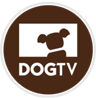 logo do Dog TV